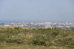 LEOL0028