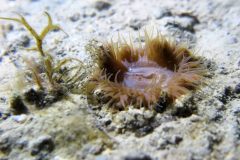 IMG_4393-scaled