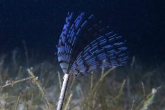 IMG_4428-scaled