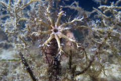 IMG_4434-scaled