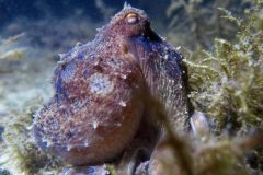 IMG_4469-scaled