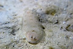 IMG_4505-scaled