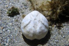 IMG_4586-scaled