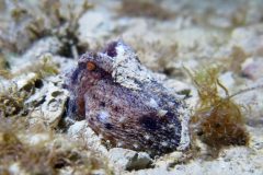IMG_4642-scaled