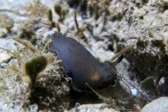 IMG_4672-scaled