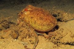 IMG_5469-scaled