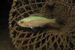 IMG_5567-scaled