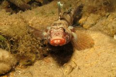 IMG_5577-scaled