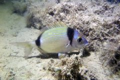 IMG_5725-scaled