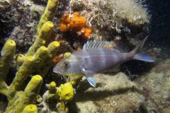 IMG_5802-scaled
