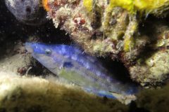 IMG_5838-scaled