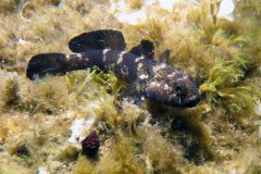 IMG_7574-scaled