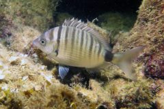 IMG_7580-scaled