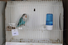 LEOL0332