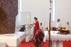 TON_8635