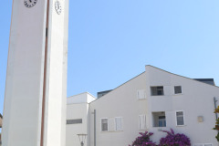 LEOL1103