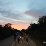 LEO_9655