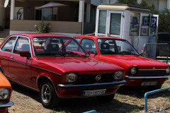 LEOL0080
