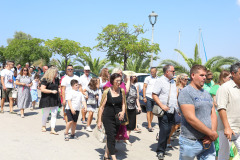 LEOL0241