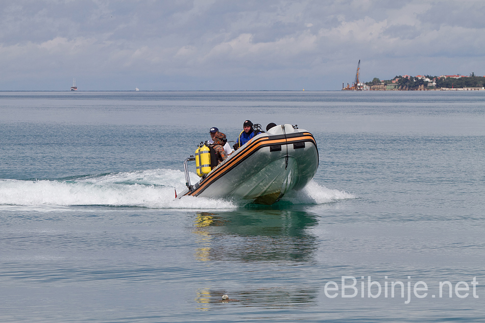 Fotografije vježbe zaštite i spašavanja “Bibinje 2012”