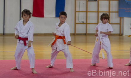 Karate demonstracija