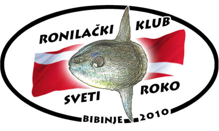 Priča o klubu SV Roko