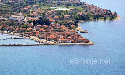 Glasnik župe Sv.Roka 17. VI. 2013.  –   23. VI. 2013.