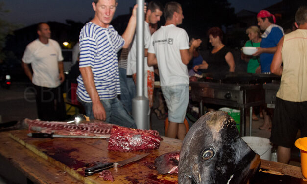 Bibinjske feštice.Frnaža