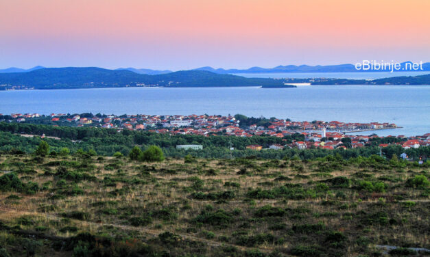 Glasnik župe Sv.Roka 02. XII. 2013.  –   08. XII. 2013