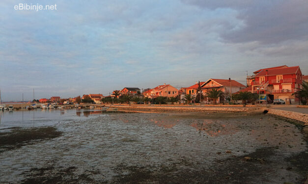 Glasnik župe Sv.Roka 13. I. 2014.  –   19. I. 2014