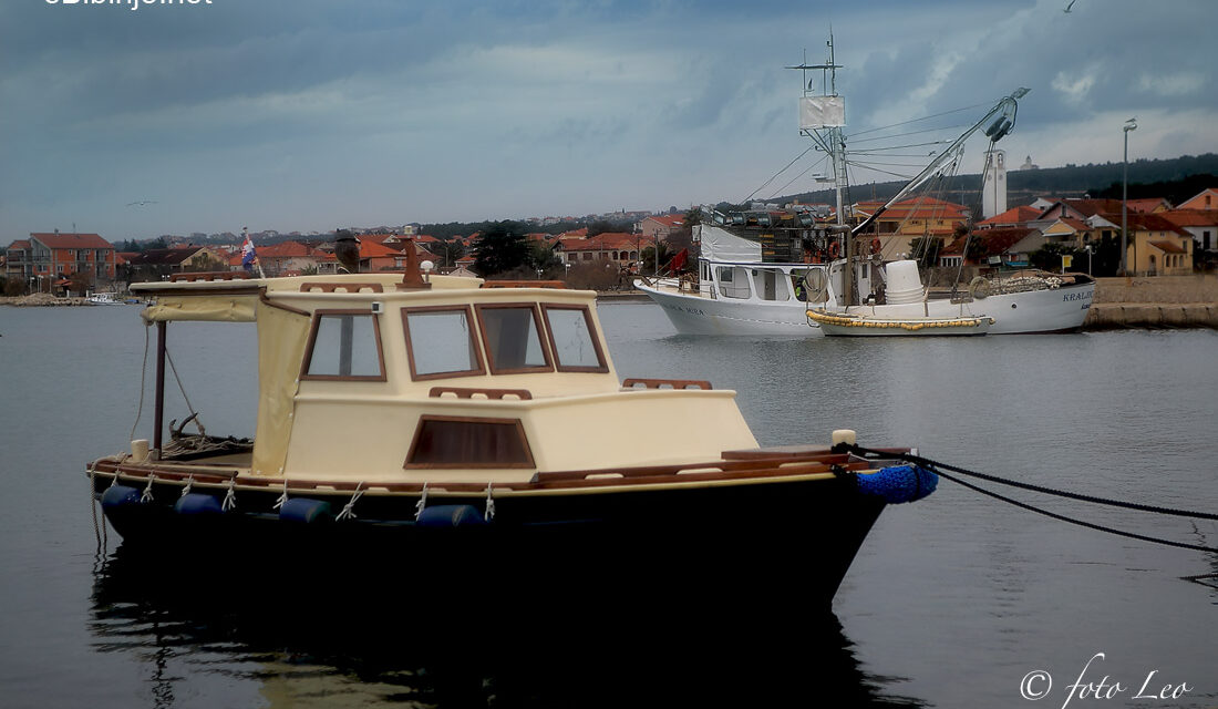 Glasnik župe Sv.Roka 06. I. 2014.  –   12. I. 2014