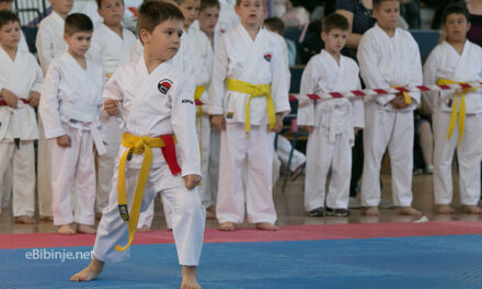 MEĐUNARODNO KARATE NATJECANJE „BIBINJE 2014.“