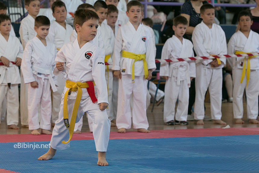 MEĐUNARODNO KARATE NATJECANJE „BIBINJE 2014.“