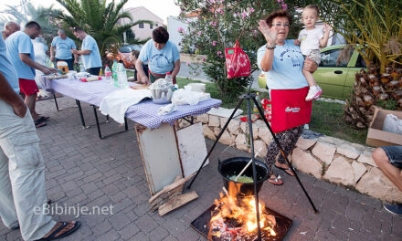 Bibinje kogo 2014