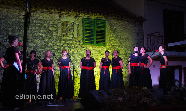 U BIBINJAMA TJEDAN KLAPSKE PISME: Večeras koncert Klape Garofuli i galerija s koncerta