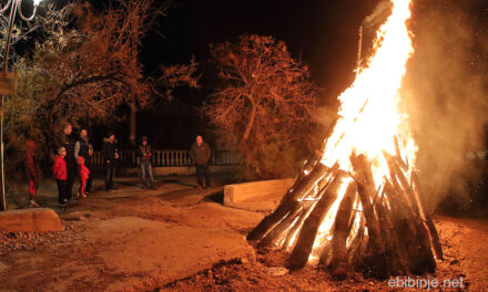 Glasnik župe Sv.Roka Bibinje, 31. XII. 2018.  –  6. I. 2019.