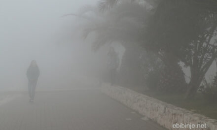 Magla u Bibinjama