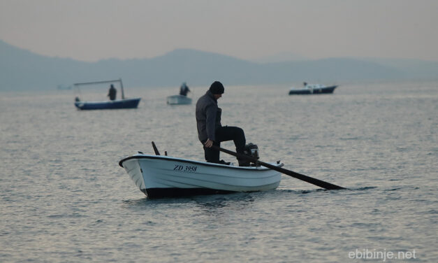 Bibinjska “Lignjada” 2019.