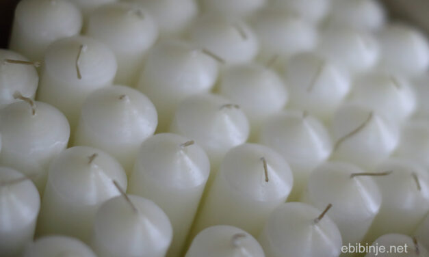 Glasnik župe sv,Roka Bibinje, 22. XII. 2019.  –  29. XII. 2019.