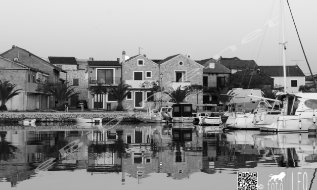 Glasnik župe sv.Roka Bibinje, 19. VII. 2020.  –  26. VII. 2020.