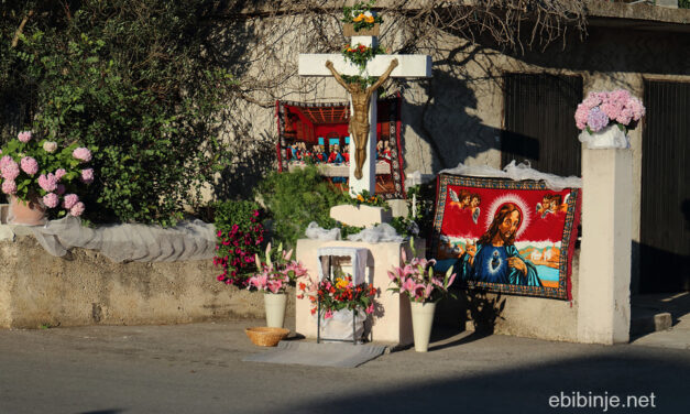 Glasnik župe sv.Roka Bibinje, 29. VI. 2020.  –  5. VII. 2020.