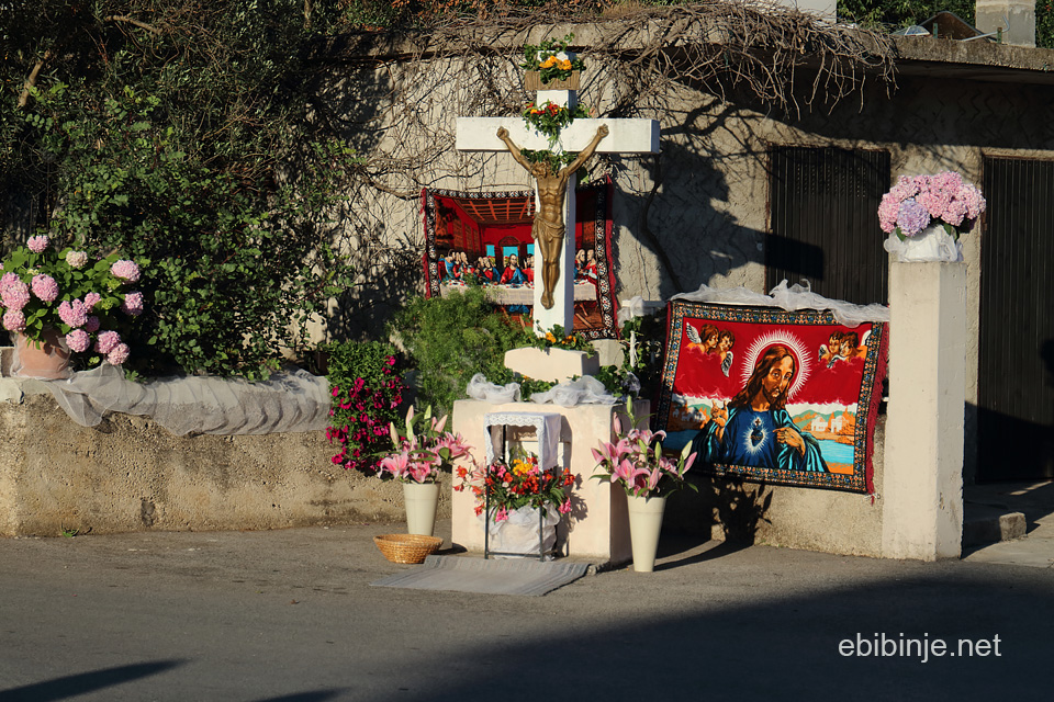 Bibinje ponovno procesija na Tijelovo – prvi dio