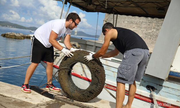 Dalmacija u akciji „Zajedno za čišći Jadran“.